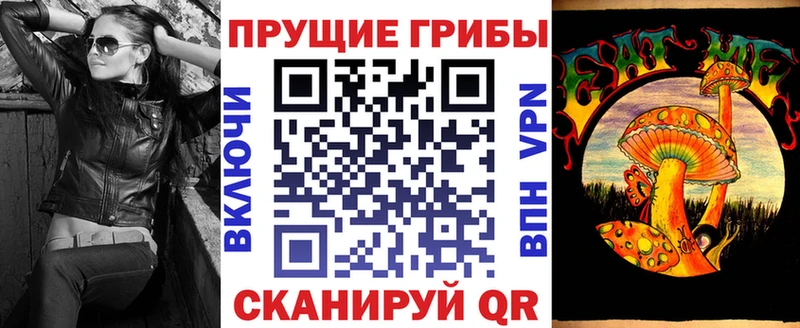 Псилоцибиновые грибы Psilocybine cubensis  Казань 