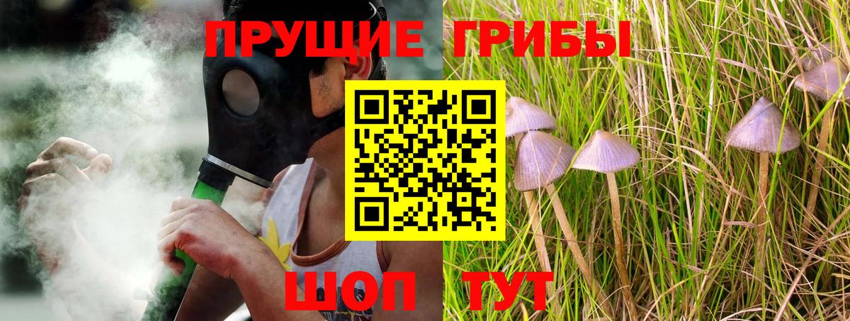 Галлюциногенные грибы прущие грибы Казань