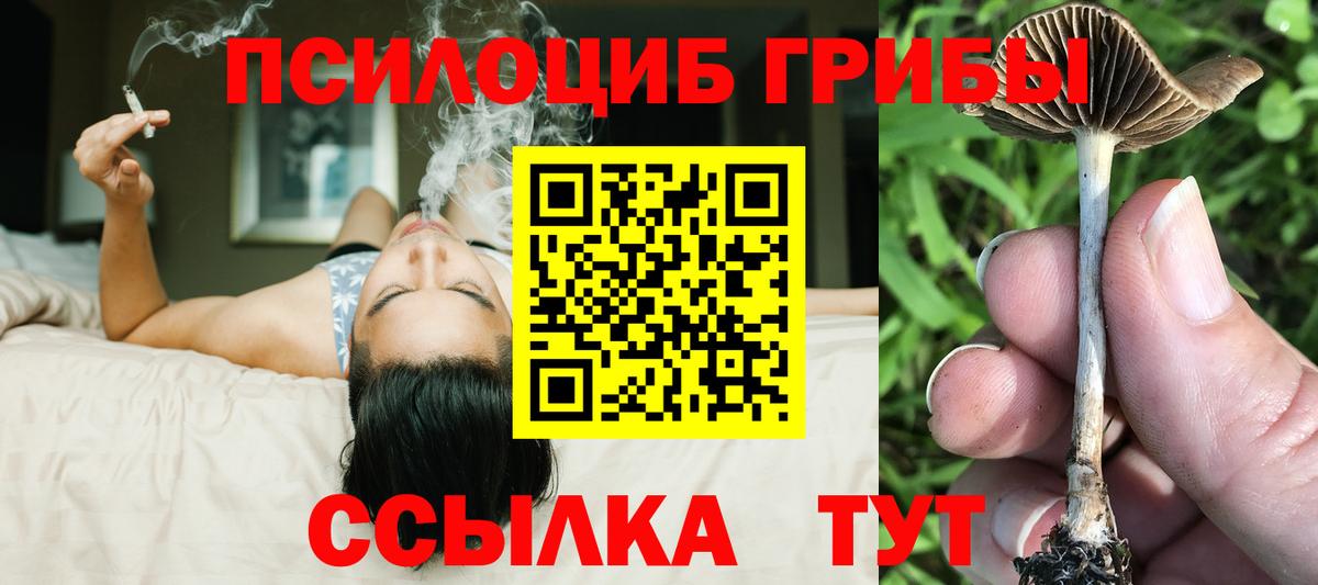 Галлюциногенные грибы MAGIC MUSHROOMS  Вход с VPN  Галлюциногенные грибы MAGIC MUSHROOMS  Казань 